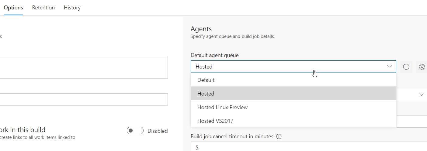 On the Options tab, in the right pane under Agents, Hosted is selected in the Default agent queue drop-down list.